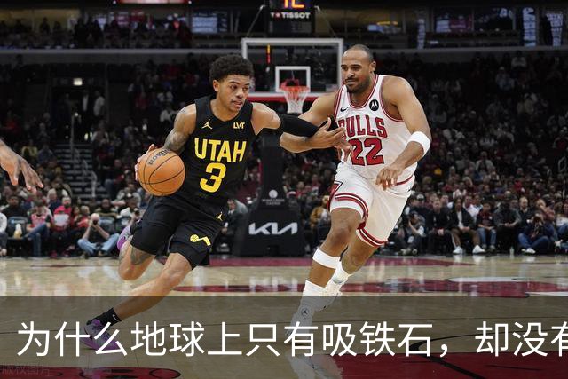 为什么地球上只有吸铁石，却没有吸铜石和吸铝石？