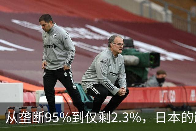 从垄断95%到仅剩2.3%，日本的崩溃循环，中国亲手按下终止键