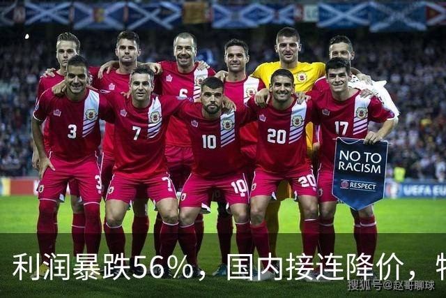 利润暴跌56％，国内接连降价，特斯拉的中国智驾何时兑现？