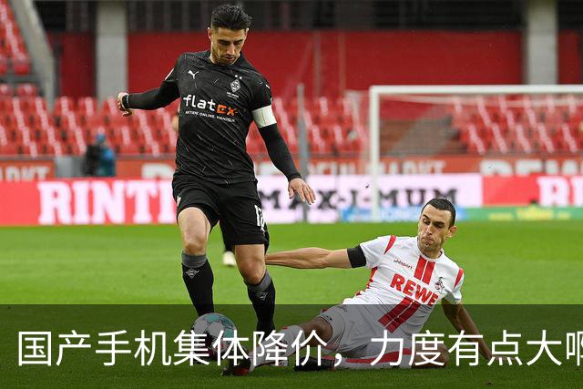 国产手机集体降价，力度有点大啊！