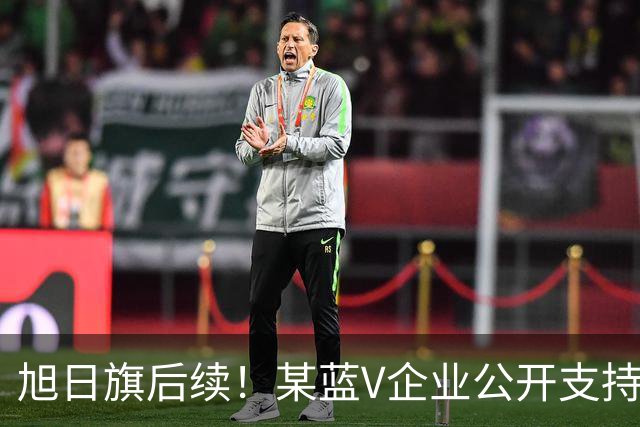 旭日旗后续！某蓝V企业公开支持“一起披”, 注销账号不是免罪金牌