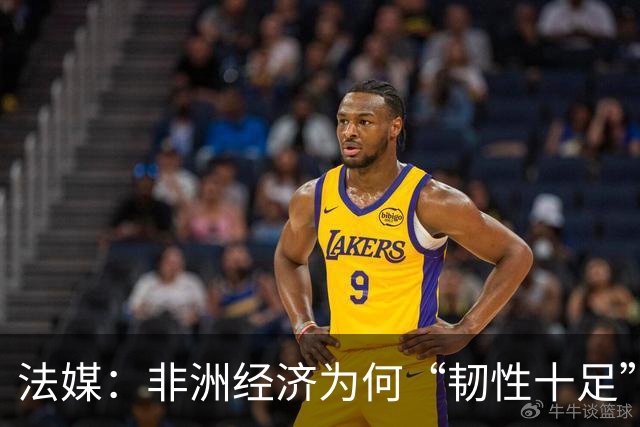 法媒：非洲经济为何“韧性十足”？
