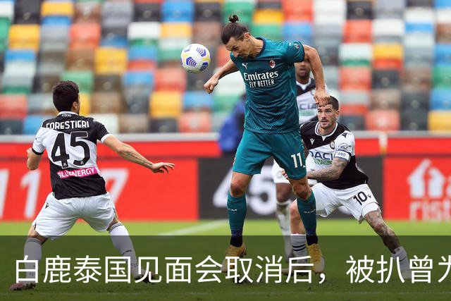 白鹿泰国见面会取消后，被扒曾为缅北拍宣传片，知情人爆更多内幕