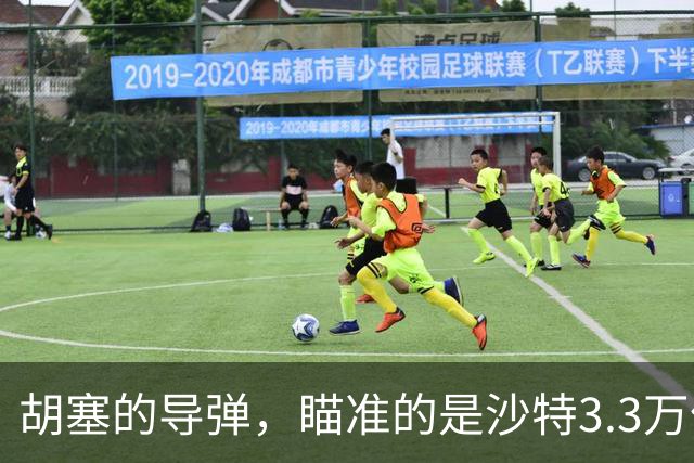 胡塞的导弹，瞄准的是沙特3.3万亿美元的“2030愿景”