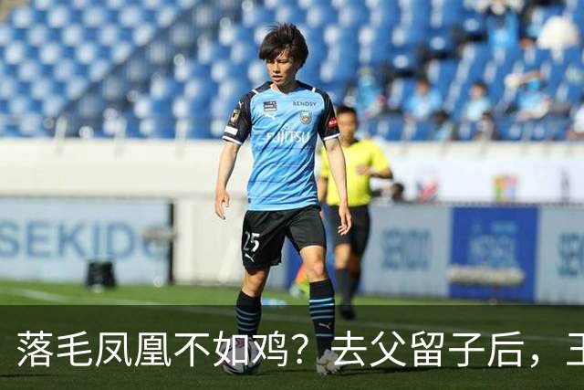 落毛凤凰不如鸡？去父留子后，王鸥回应无戏可拍，坦言走上另一条路