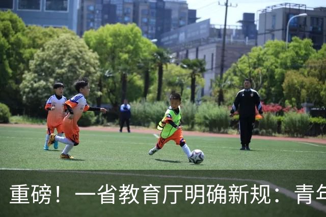 重磅！一省教育厅明确新规：青年教师晋升须有1年学生工作经历！职称评审的“育人”回归，释放了什么信号？