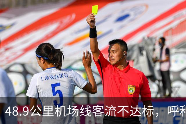 48.9公里机场线客流不达标，呼和浩特如何获批？